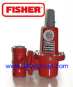 Gas Regulator "Fisher"