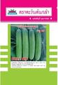 hạt giống dưa leo lai F1 Cucumber Seeds Bull 89 (18-20 cm)