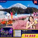 Tokyo 5D3N Թҧ 26 ..-02 ../28 ..-04 ..66   34,888.-