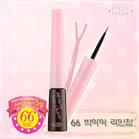 **�������**Etude House 66 Big Eye Line Charm ���Ե�� 2 ��� (3500 won) 