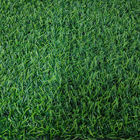 ขาย หญ้าเทียม (ใบหญ้าหนา) ความสูง 2 ซม. DG-S-20-11 (เขียวล้วน) ราคาโปรโมชั่น ยกม้วน 50 ตรม. 3,850 บาท