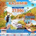 Kashmir-չҤ- 5ѹ3׹ Թҧ Ҥ 65  27,990.-