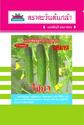 hạt giống dưa leo lai F1 Cucumber Seeds "Chaiya" (18-20 cm)