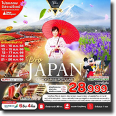 ทัวร์ Japan-Tokyo-Fuji 6D4N เดินทาง 05-10/10-15/12-17/19-24/21-26 ตุลาคม 2566 เพียง 28,999.-