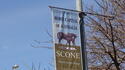 WSAVA2008