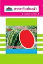 hạt dưa hấu "Super Sweet Crimson AV 418" watermelon seed