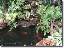�ǹ����ǹ����