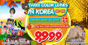 เกาหลีใต้ โซล เกาะนามิ 5 วัน 3 คืน   เดินทางเดือนพฤศจิกายน  เพียง 9900 บาท