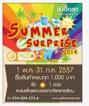Summer Surprise 2014