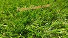 หญ้าเทียมปูพื้น 35 mm. สามสีธรรมชาติ Premium