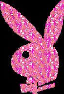 �Ҿ Playboy ���� ����Ѻ���� blog  hi5  myspace