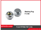 PLUG FITTING FOR 1/4in