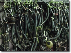 ��¾�������