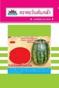 hạt dưa hấu "Mekong Crimson AV 518" watermelon seed