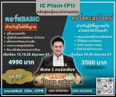 ʵ IC Plain (P1) [single License]  (ŧ¹¹ óͺҹ )