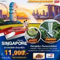 Singapore-ૹ⵫-չ 3D2N ԹҧȨԡ¹ 65  11,999.- 