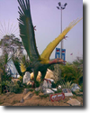 �ع�ҧ�� ��¹ҷ