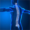 การรักษาระบบโครงสร้างกระดูกและกล้ามเนื้อ