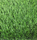 ขาย หญ้าเทียม (ใบหญ้าหนา) ความสูง 2.5 ซม. DG-2.5Q-Green-All (2.5Q สีเขียวล้วน) ราคาโปรโมชั่น ยกม้วน 50 ตรม. 7,250 บาท