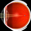 การรักษาระบบสายตาและการมองเห็น