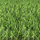 ขาย หญ้าเทียม ความสูง 2 ซม. DG-2-N Green-All (2N เขียวล้วน) ราคาโปรโมชั่น 290 บาท/ตรม.