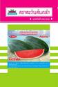 Watermelon seeds Advance Seeds Brand 紾ѹת ҹմ hạt giống dưa hấu chất lượng cao