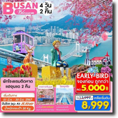 ทัวร์ Busan 4D2N เดินทาง 01 มี.ค.-30 มิ.ย.67 เพียง 8,999.-