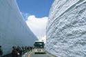 ญี่ปุ่น นาโกย่า ชิราคาวาโกะ คานาซาว่า กำแพงหิมะ โอซาก้า  6 วัน 4 คืน (TG)  เดินทาง  16 - 21  พ.ค.  57  ท่านละ  49,900 บาท