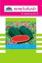 hạt giống dưa hấu F1 Thái Lan chất lượng cao (Watermelon Seed) "Rocky 007"