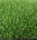 ขาย หญ้าเทียม (ใบหญ้าหนา) ความสูง 2 ซม. DG-2Q-Green-All (2Q สีเขียวล้วน) ราคาโปรโมชั่น ยกม้วน 50 ตรม. 6,250 บาท