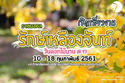 งานราชมงคลรักษ์เหลืองจันท์ วันดอกไม้บาน ครั้งที่ 17