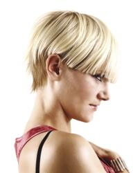 toni & guy