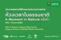 ประกาศผลรางวัล การประกวดถ่ายภาพ โครงการประกวดภาพถ่าย �ห้วงเวลาในธรรมชาติ (A Moment in Nature)� ครั้งที่ 1 ปี 2565