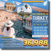 Turkey-เมืองโบราณเอฟฟิซุส-สุเหร่าเซนต์โซเฟีย 8วัน6คืน เดินทาง 16-23,17-24,21-28 ต.ค 65 เริ่มต้นเพียง 36,988.-