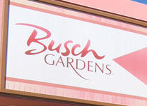 work and travel in Busch Gardens, Tampa, Florida >> ѡ