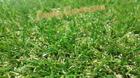 หญ้าเทียมปูพื้น 20 mm. สามสีธรรมชาติ