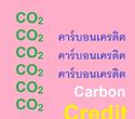 ราคาคาร์บอนเครดิต ตลาดคาร์บอนเครดิต ซื้อคาร์บอนเครดิต ขายคาร์บอนเครดิต โดย เว็บไซต์ เคมวินโฟ ดอทคอม
