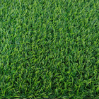 ขาย หญ้าเทียม (ใบหญ้าหนา) ความสูง 2 ซม. DG-S-20-13 (เขียวล้วน) ราคาโปรโมชั่น ยกม้วน 50 ตรม. 5,250 บาท