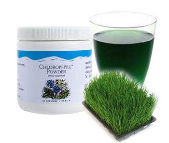 Chlorophyll unicity ����ÿ���� �ٹԫԵ�������� ���¿�鹿١�÷ӧҹ�ͧ�Ѻ ����㹡�кǹ�����ҧ��þ������ʹ
