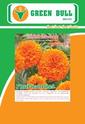 Marigold Seeds F1 PhuPhanPhet 紾ѹͧѴ͡١ پҹྪ ҡչ hạt giống hoa cúc vạn thọ (PhuPhanPhet) 