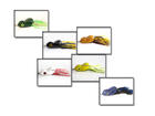 �����͡��ҧ SCUMP FROG TINY TOAD