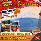 TOKYO FUJI FREEDAY  เดินทาง  กันยายน-ธันวาคม 2560