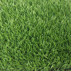 ขาย หญ้าเทียม ปูพื้น สีเขียว (ใบหญ้าเล็ก) ความสูง 2 ซม. DG-ROTHENBURG Green-All (2R เขียวล้วน) ราคาโปรโมชั่น 190 บาท/ตรม.