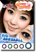 Seeshell