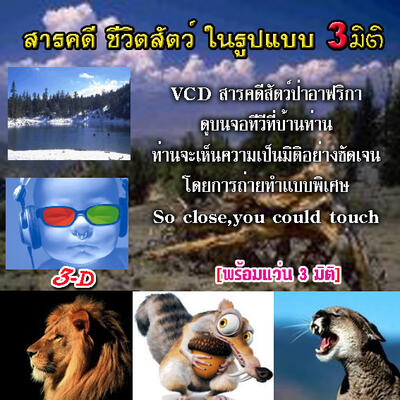 ��ä�ժ��Ե�ѵ�����Ϳ�ԡ�(3�Ե�)