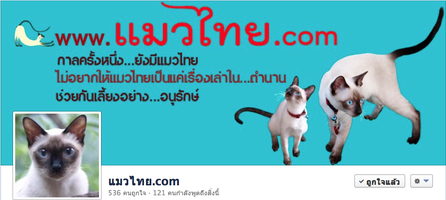 ติดความเคลื่อนไหว..แมวไทย.com ที่ facebook