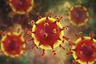 ยารักษาโรคติดเชื้อไวรัสโคโรน่า Cure Covid 30แคปซูล