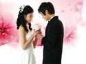 Lady in Love 