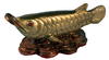 ปลาหลีฮื้อคาบเหรียญเงิน-ทอง/สีทอง