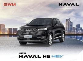 New HAVAL H6 Hybrid SUV | Dare To Be Elite